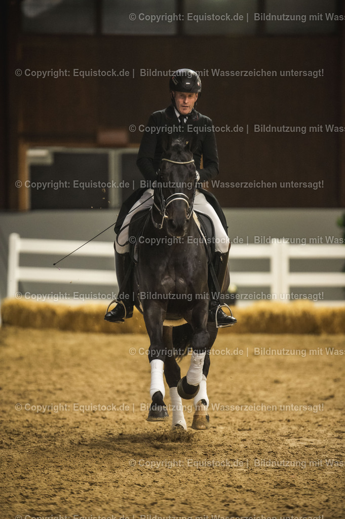 20240302_Hengstvorstellung_Marbach_TOMsPiC_1434 | equistock