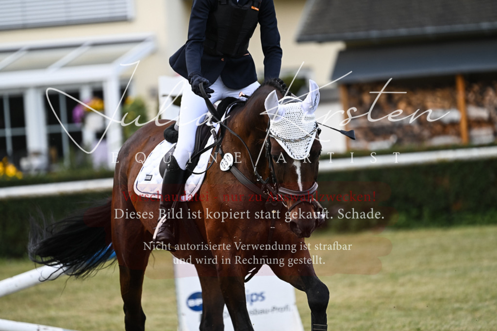 DSC_5659 | Pferde- und Turnierfotografie in Westsachsen. Pferdeportraits, Auftragszeichnungen und intuitive Kunst.