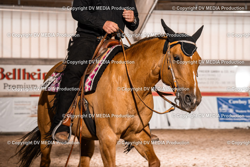 ZH200620 | dv-media-shop - Realisiert mit Pictrs.com