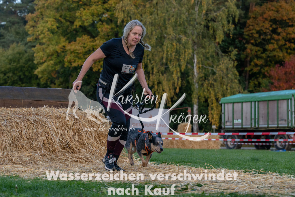 0840_ZZ91111 | kk-dogfotos