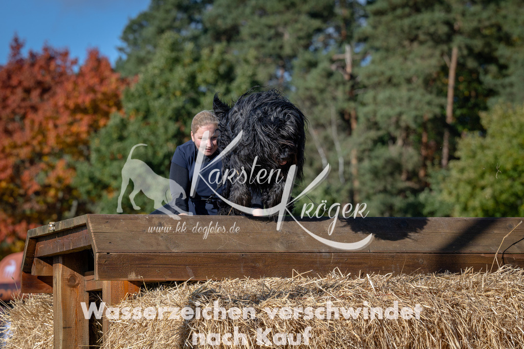 1126_ZZ90083 | kk-dogfotos