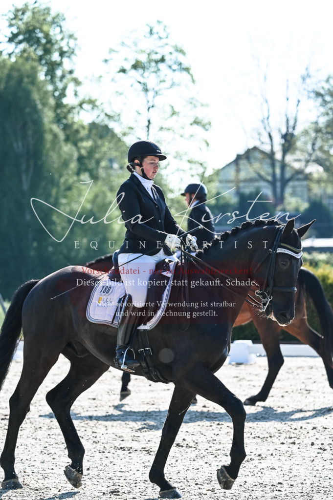 20230514_JK-Röhrsdorf-18-138 | Pferde- und Turnierfotografie in Westsachsen. Pferdeportraits, Auftragszeichnungen und intuitive Kunst.