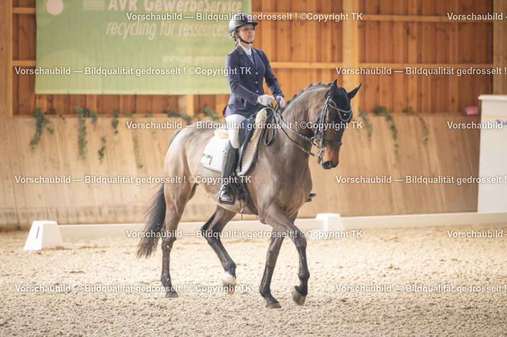 _D5A2623 | Emotionale Pferde- & People-Fotografie rund um Heidelberg, Leimen & Umgebung. Natürliche Fotos von Pferd, Mensch & Familie. Jetzt Termin sichern!