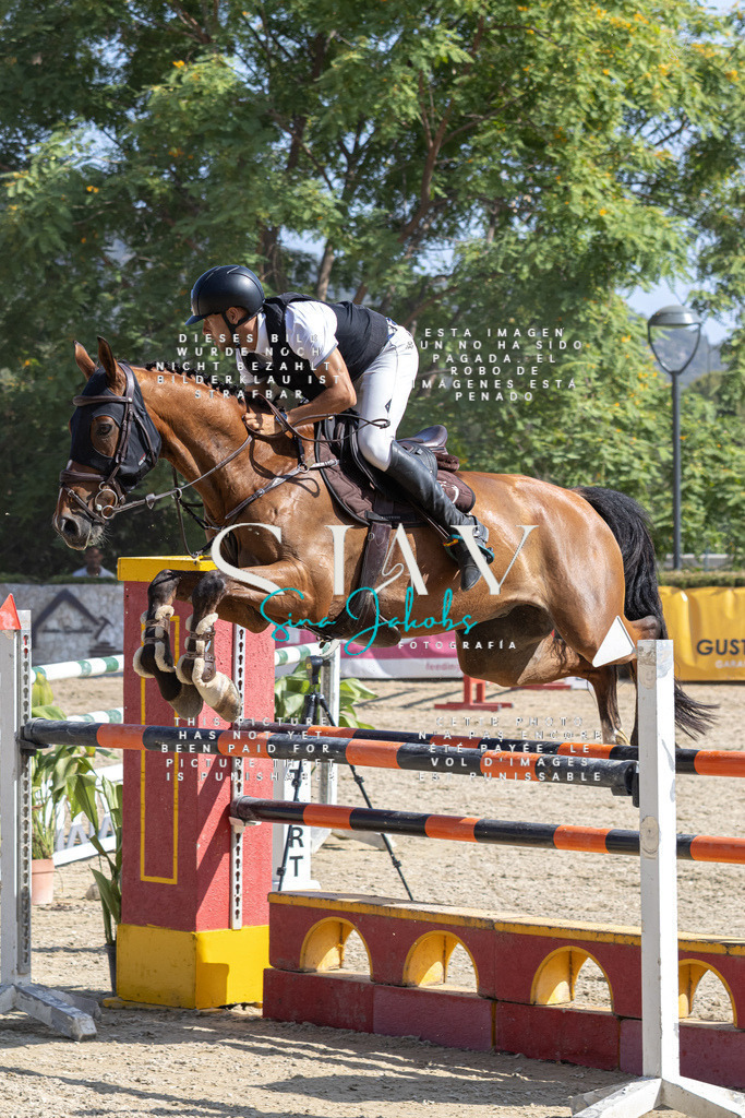 IMG_4129 | s-jay-photography - Realisiert mit Pictrs.com