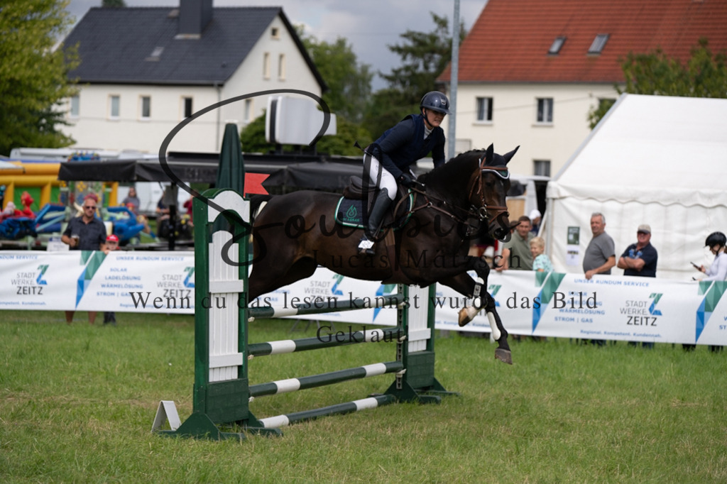 A7V03978 | Pferdefotograf