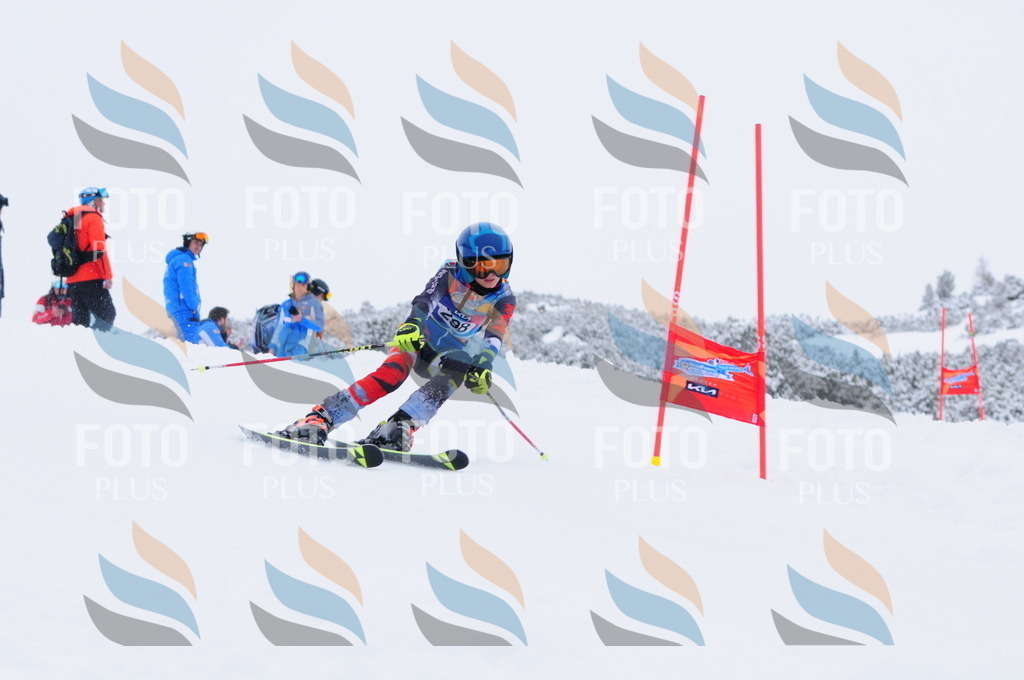 C3152 | holidayphoto