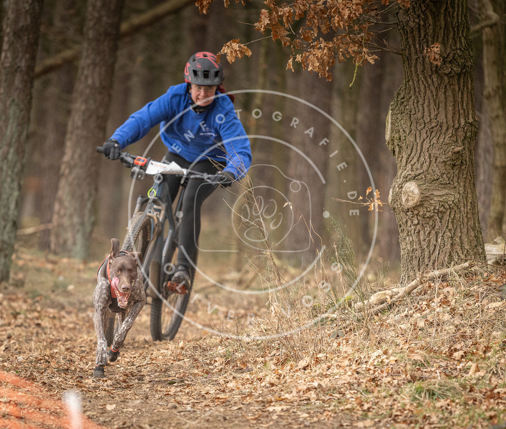 Pfotenfotografie_DV3A3277 | Hundefotografie, Tierfotograf, Pfotenfotografie, Fotoshooting Hund, Hunde Portrait, Hundesport, Hundeportraits, Heideshooting, Hunde, Sportfotograf, Hundefotograf, Turnierhundsport, THS,  - Realisiert mit Pictrs.com