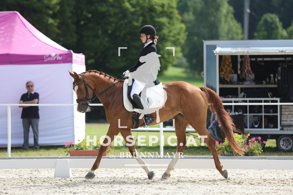0P6A4964 | Willkommen bei Brunnmayr - Design & Fotografie – Ihrem Spezialisten für Reitturniere und Pferdeveranstaltungen in Oberösterreich, Salzburg und Bayern! Seit über 17 Jahren sind wir leidenschaftlich dabei.