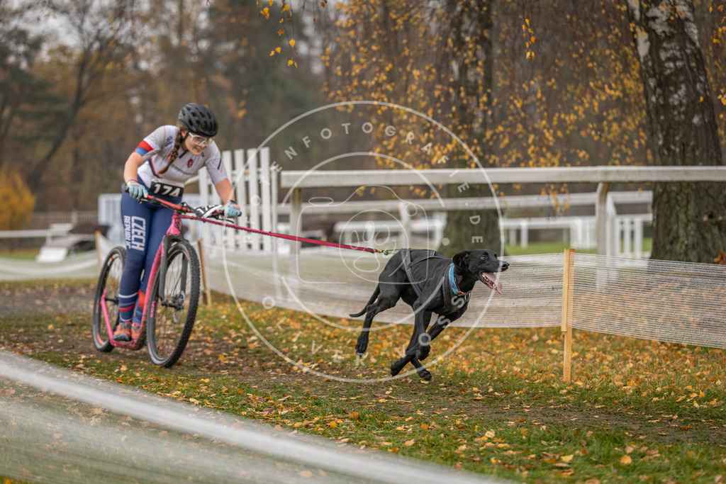 CaniXpix_DV3A8516 | Hundefotografie, Tierfotograf, Pfotenfotografie, Fotoshooting Hund, Hunde Portrait, Hundesport, Hundeportraits, Heideshooting, Hunde, Sportfotograf, Hundefotograf, Turnierhundsport, THS,  - Realisiert mit Pictrs.com