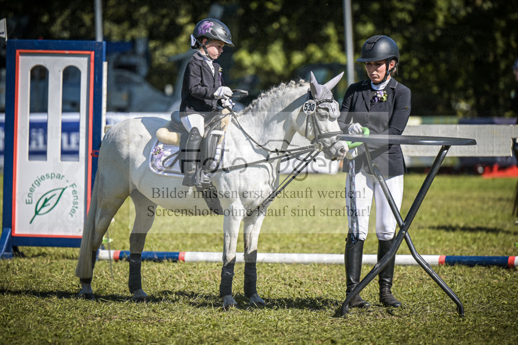 DOS_0290 | Entdecke hochwertige Reitturnierfotos von Foto Oger. Professionell, emotional und authentisch – jetzt Lieblingsmomente im Shop bestellen.Deutschlandweite Turnierfotografie. - Realisiert mit Pictrs.com
