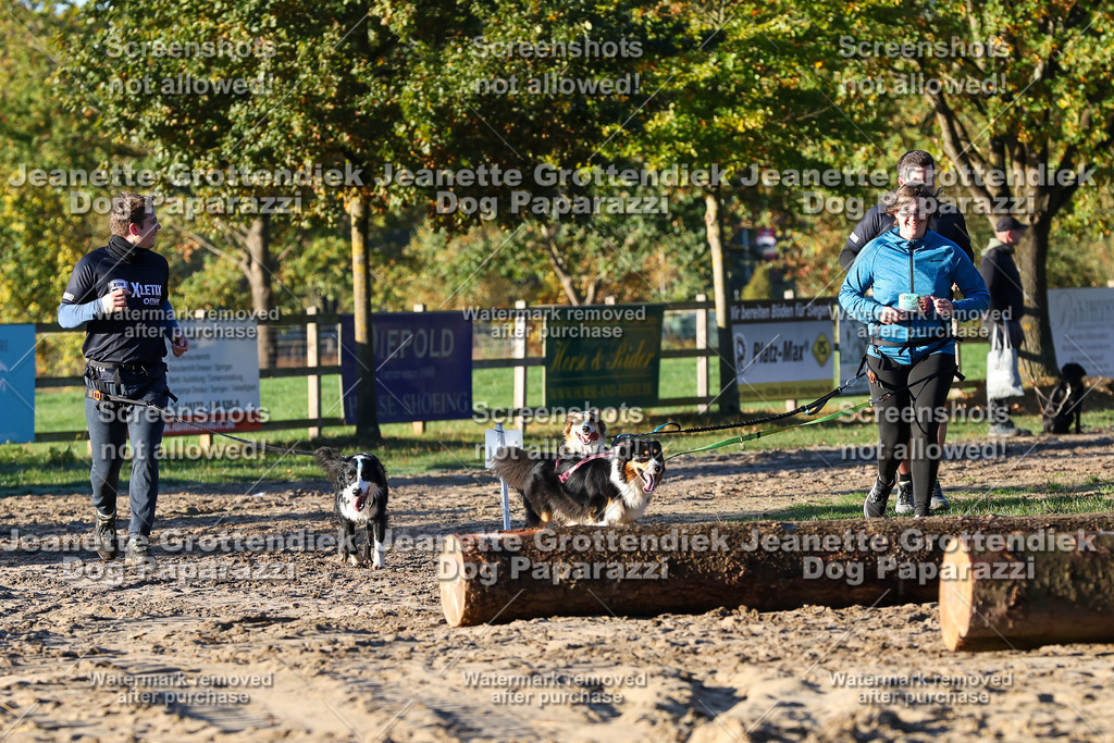 Dog Paparazzi - Strongdog 10-25-941 | Dog Paparazzi Jeanette Grottendiek Fotografie & Videografie - Realisiert mit Pictrs.com