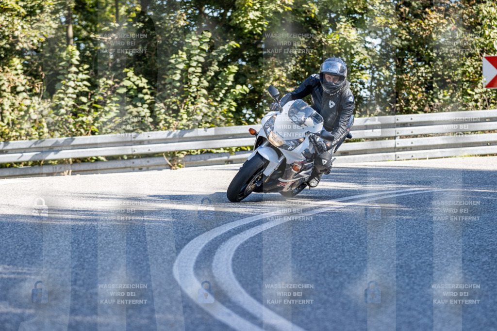 IMG_3335 | jrph - Realisiert mit Pictrs.com