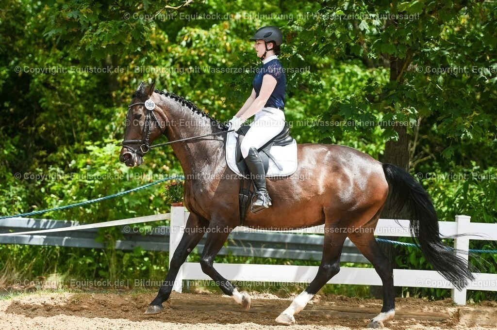 20230715_05_Dressurprüfung Kl.A++_0382 | equistock