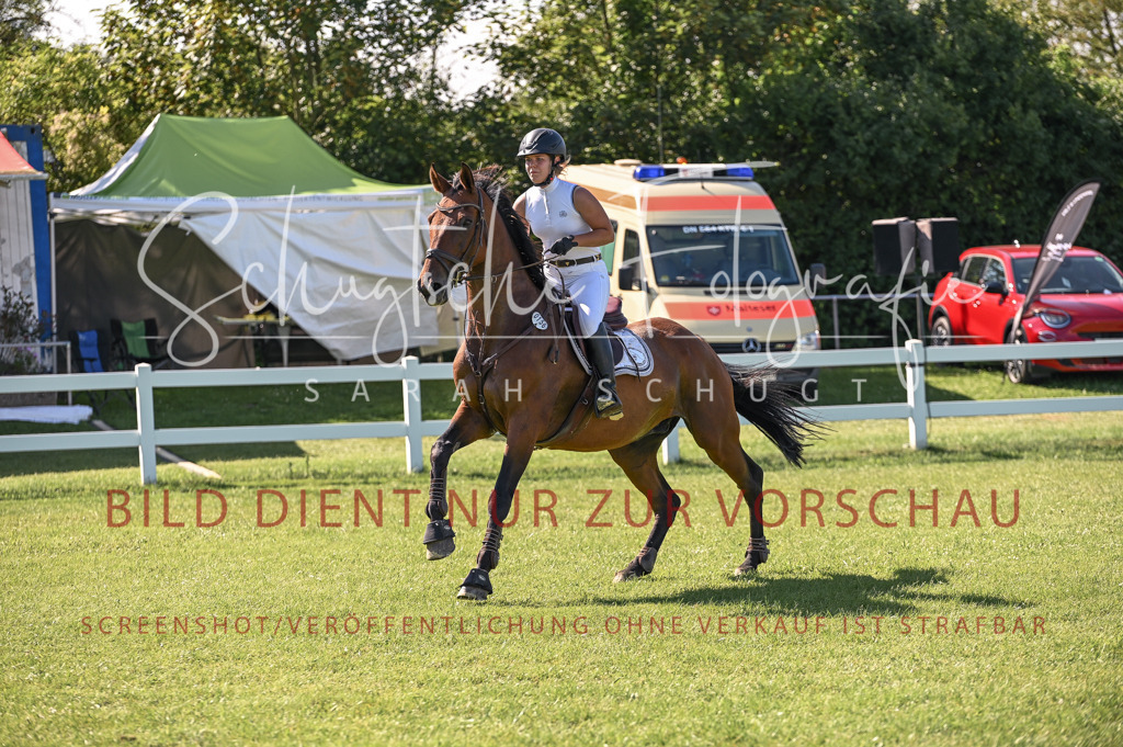 Schugtsche-Düren.2024-11.Mannsch.Springprf.A-6 | Schugtsche Fotografie - Realisiert mit Pictrs.com