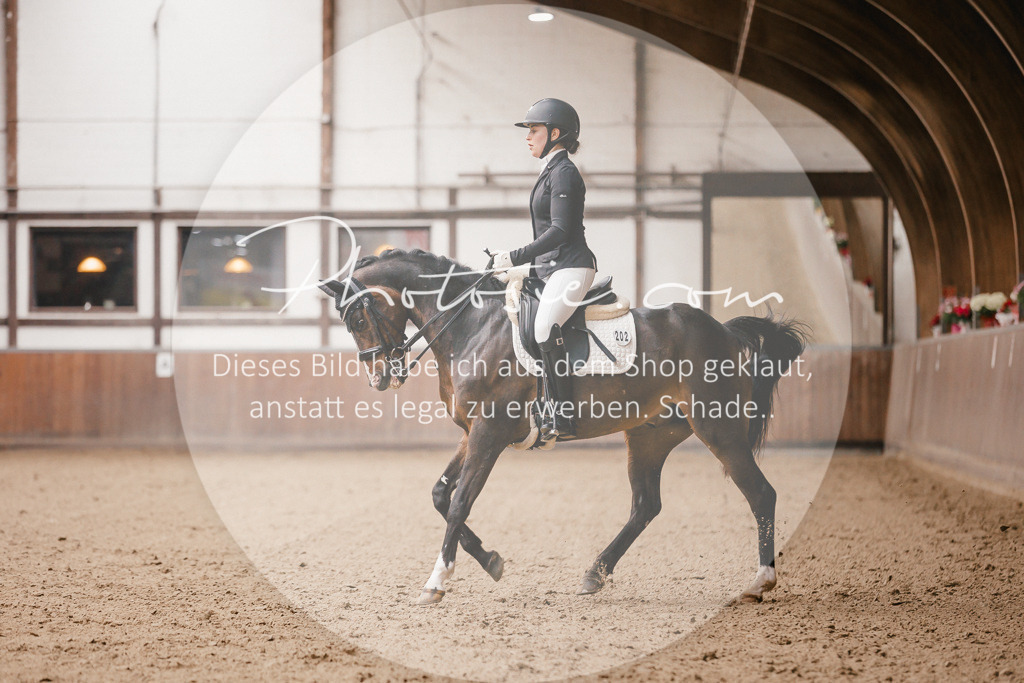 3I6A9037 | Stimmungsvolle Portraits und Reitsportfotografie im Ruhrgebiet und im Münsterland.

Pferdefotografie, Hundefotografie, Tierfotografie, Reportagen, Portraits von Tier und Mensch, Turnierfotografie in Bochum, Recklinghausen, Marl, Haltern am See, Dülmen.. - Realisiert mit Pictrs.com