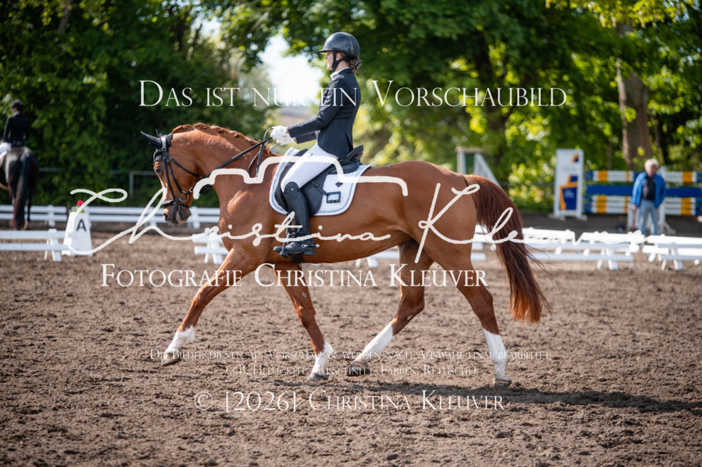DSC_9292 | Christina-Kleuver