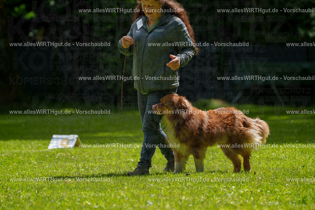 @allesWIRTHgut_Tierfotografie - www.allesWIRTHgut.de - 7R500854 | Professionelle Tierfotografie in Mönchengladbach von Daniel Wirth (allesWIRTHgut). Liebevolle & natürliche Bilder von Hunden & Katzen für unvergessliche Erinnerungen.