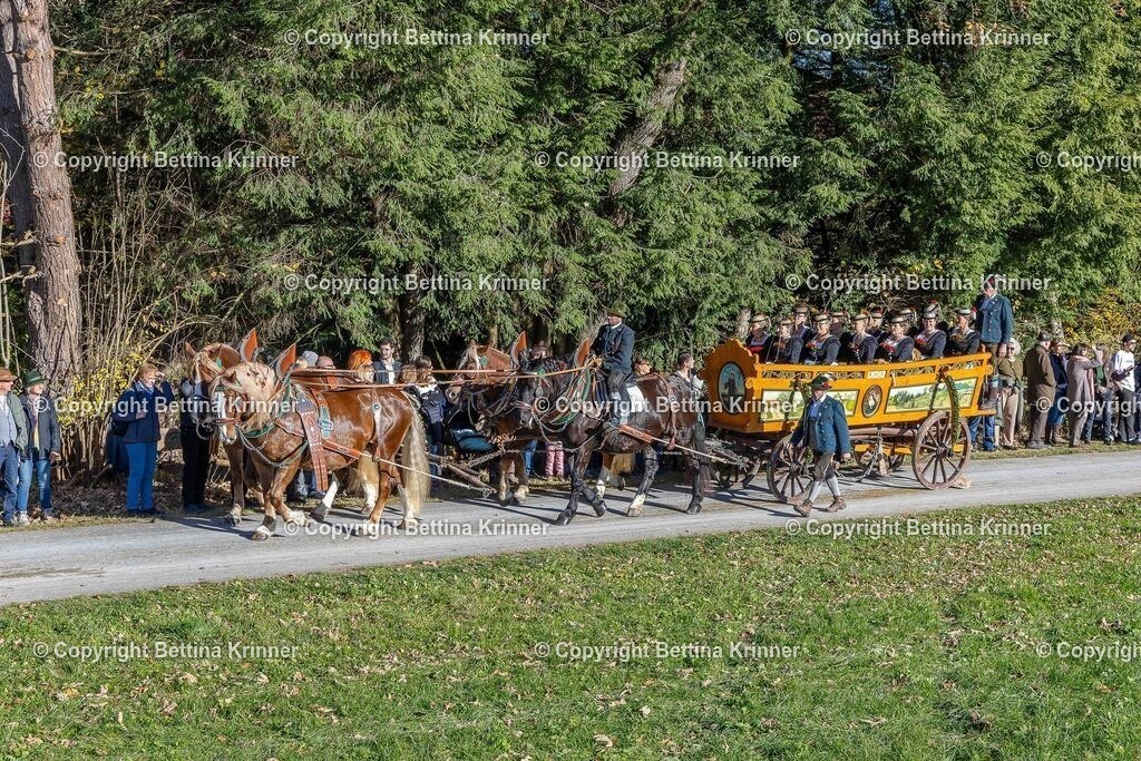 LBT25-794 | foto-bettina-krinner - Realisiert mit Pictrs.com