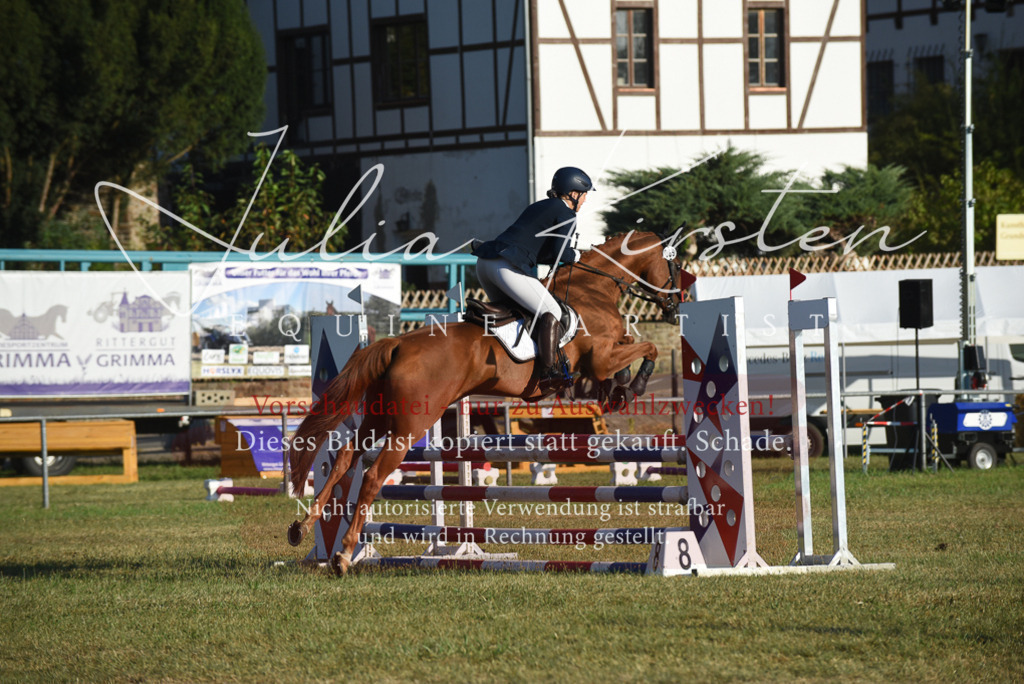 DSC_4904 | Pferde- und Turnierfotografie in Westsachsen. Pferdeportraits, Auftragszeichnungen und intuitive Kunst.