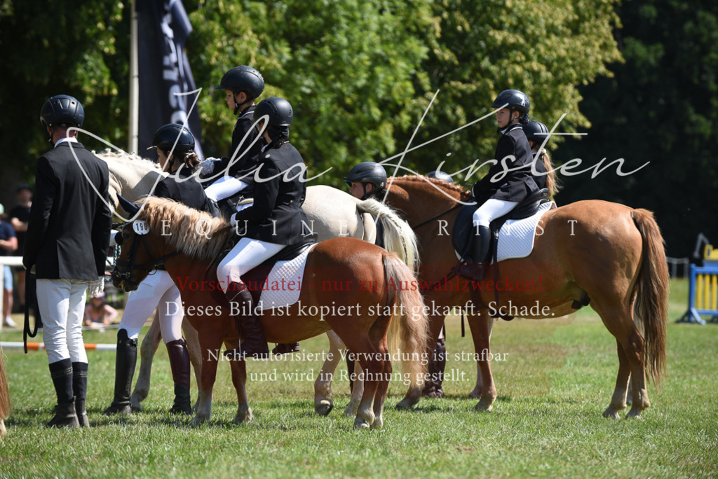 DSC_9739 | Pferde- und Turnierfotografie in Westsachsen. Pferdeportraits, Auftragszeichnungen und intuitive Kunst.