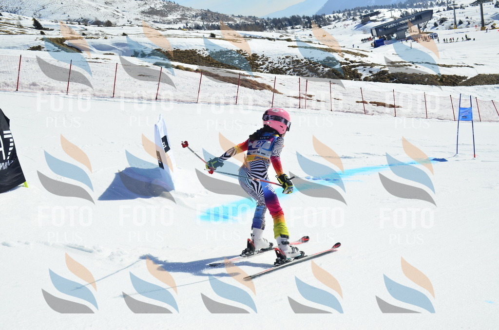 _ELE9951 | holidayphoto