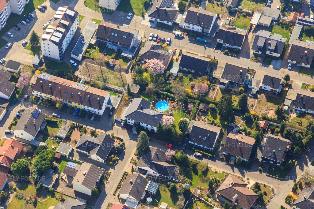 Luftbild: Albert-Schweitzer-Straße in Kandel im Bundesland Rheinland-Pfalz in Deutschland. Foto: IMG_113331.jpg vom 30.03.2019 durch Werner Riehm/FLY-FOTO.de