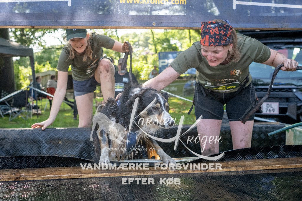 1539_ZZ92564 | kk-dogfotos