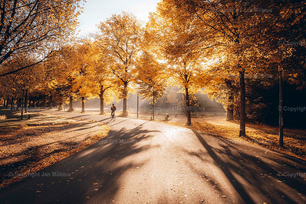 Clara Park | Der Clara-Zetkin-Park in Leipzig ist ein beliebter Ort für Natur, Sport und Erholung – perfekt für Spaziergänge, Jogging und entspannte Stunden im Grünen. - Realisiert mit Pictrs.com