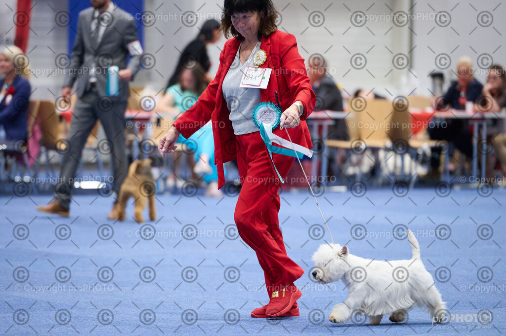 202406_ÖKV-IHA-Tulln24_DSC_2985 | proPHOTO - Realisiert mit Pictrs.com