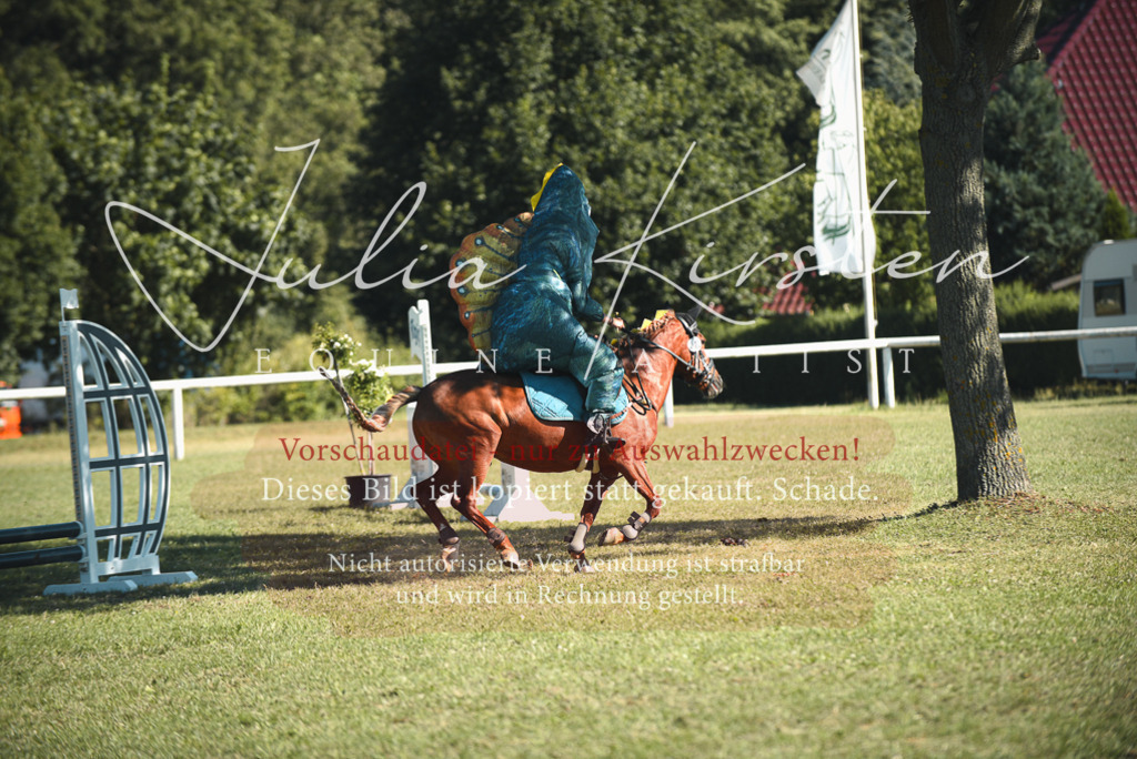 DSC_7650 | Pferde- und Turnierfotografie in Westsachsen. Pferdeportraits, Auftragszeichnungen und intuitive Kunst.