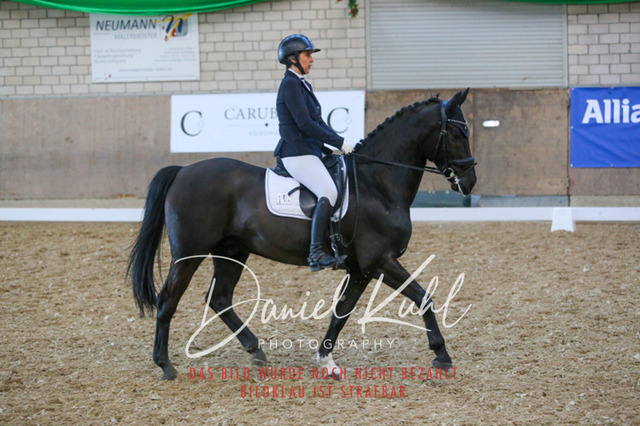 IMG_2648 | Turnierfotos kaufen im Webshop von Daniel Kuhl Photography – entdecke professionelle Reitsportfotos aus Turnieren & Events. Hochwertige Turnierbilder online bestellen & sichern. Jetzt Fotos von Reitsportturnieren kaufen!