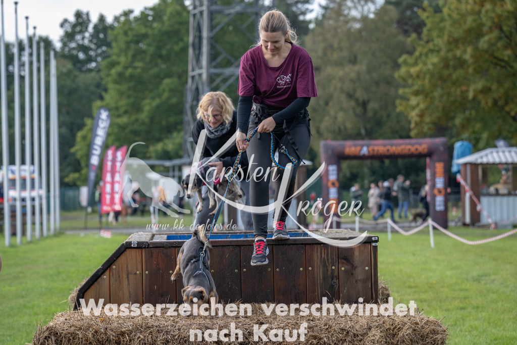 1504-94991 | kk-dogfotos