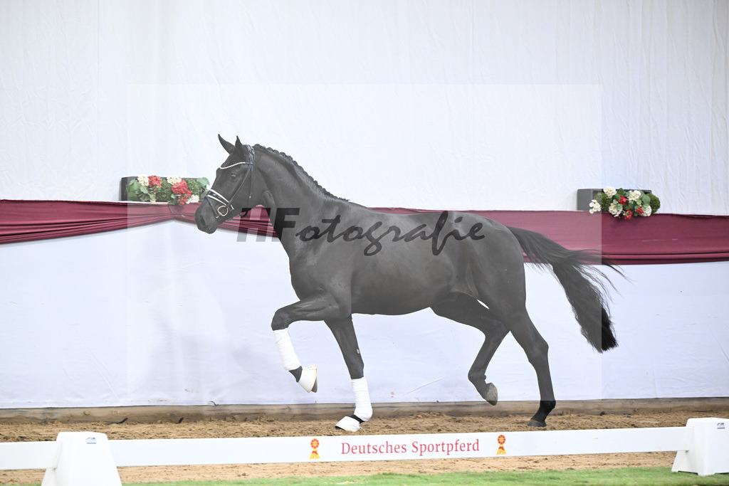 Kat-Nr. 39 Secret x Finest_Ignaz Berger_47251369 | hf-fotografie - Realisiert mit Pictrs.com