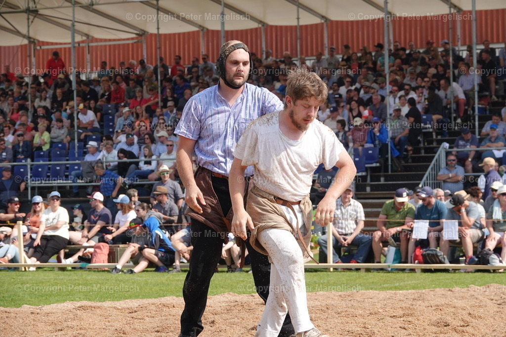 DSC04523 | Schwingen - Realisiert mit Pictrs.com