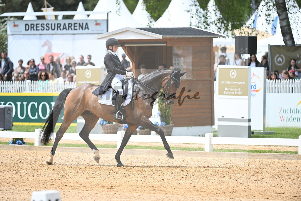 Gress_Such a Diva_11233717 | hf-fotografie - Realisiert mit Pictrs.com