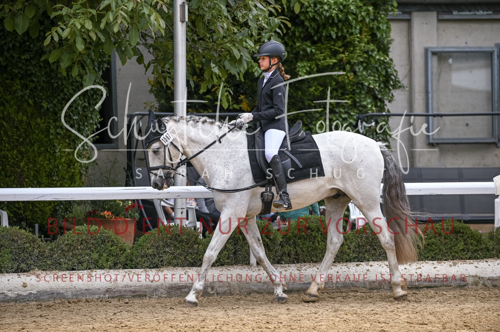 Schugtsche-Aluta25-46.ReiterWB_STG-70 | Schugtsche Fotografie - Realisiert mit Pictrs.com
