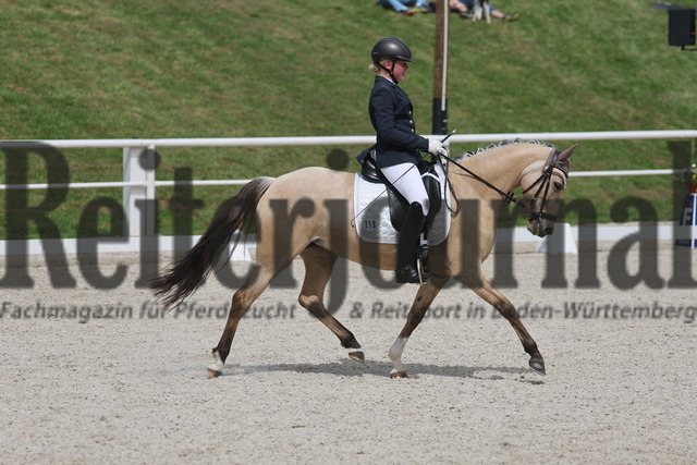 Birkhof_2024_Prfg.Nr.02_Dressurreiterprfg_Kl.A_Greta Grill_JJ_s Ducia (6) | Alle Fotos der Reiterjournal Fotografin Doris Matthaes im Reiterjournal Online-Fotoshop. - Realizado com Pictrs.com