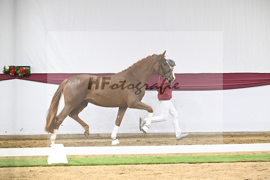 Kat-Nr. 115 Secret x Fidermark_Frieder Heilemann_47254350 | hf-fotografie - Realisiert mit Pictrs.com