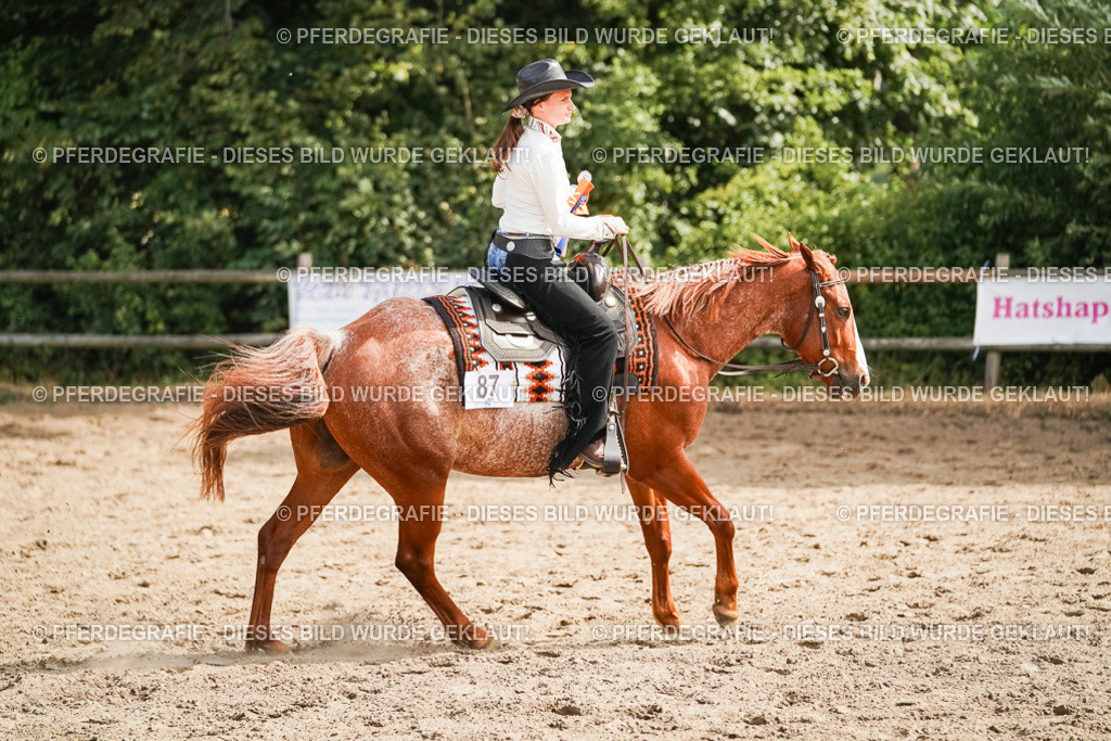 DSC04667 | Pferdegrafie