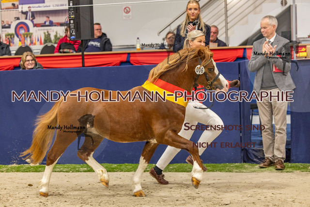 KWESR (116 von 688) | mandyhollmannphotographie