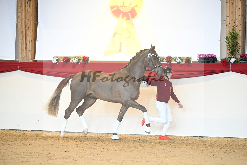Kat-Nr. 76 Vitalis_Beckmann_1231520 | hf-fotografie - Realisiert mit Pictrs.com