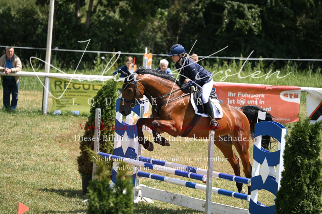 DSC_9634 | Pferde- und Turnierfotografie in Westsachsen. Pferdeportraits, Auftragszeichnungen und intuitive Kunst.