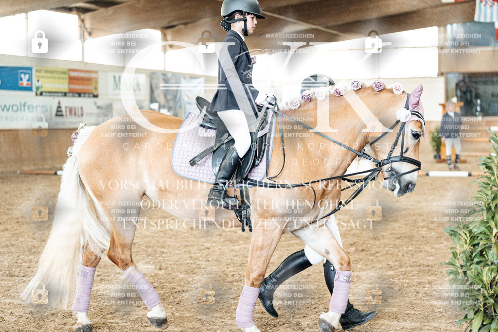 CK905697 | Turnierfotografie Pferdefotografie Trier Rheinland-Pfalz Pferdesport Reitsport Tierfotografie Sportfotografie Pferdevideo Pferdevideografie Equestrianvideography equestrianphotography  - Realisiert mit Pictrs.com