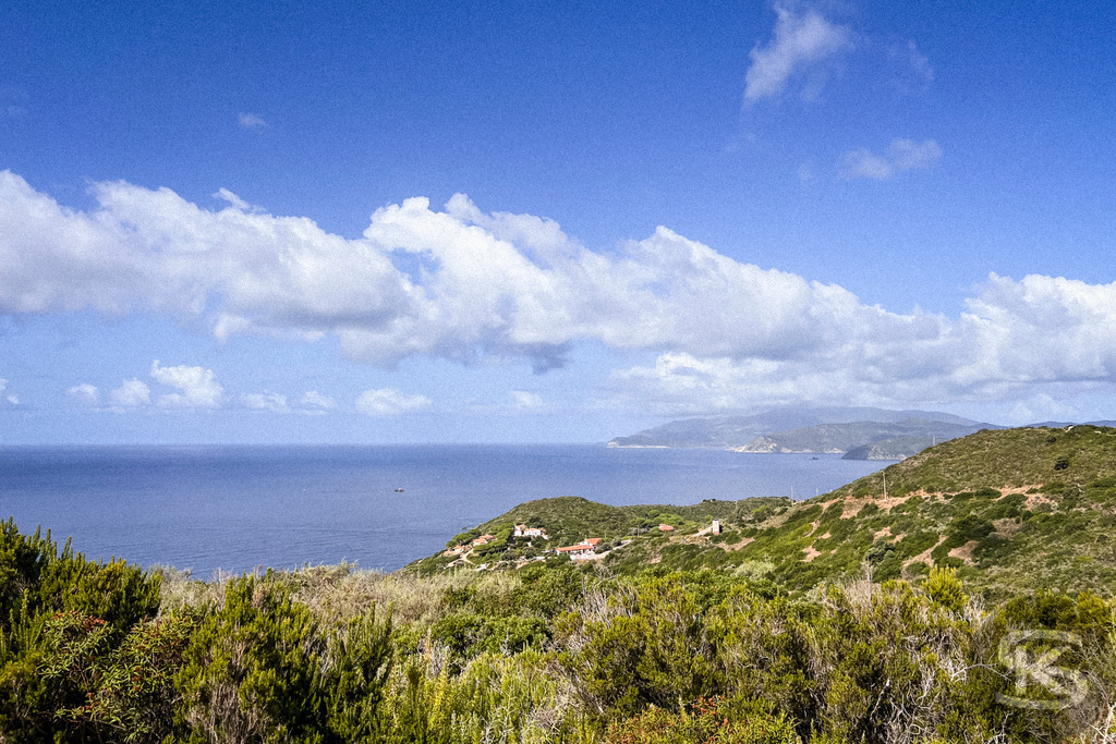 Wildes Elba: Panoramablick über die Küstenlandschaft auf das Mittelmeer – Wandbild | Panorama-Ausblick auf die hügelige Küstenlandschaft der Insel Elba mit typisch mediterraner Vegetation (Macchia) im Vordergrund und dem weiten, blauen Meer unter sommerlichen Wolkenformationen. - Realisiert mit Pictrs.com