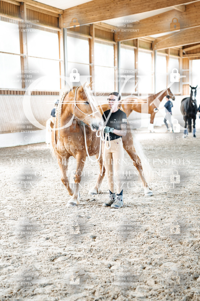 CK703168 | Turnierfotografie Pferdefotografie Trier Rheinland-Pfalz Pferdesport Reitsport Tierfotografie Sportfotografie Pferdevideo Pferdevideografie Equestrianvideography equestrianphotography  - Realized with Pictrs.com