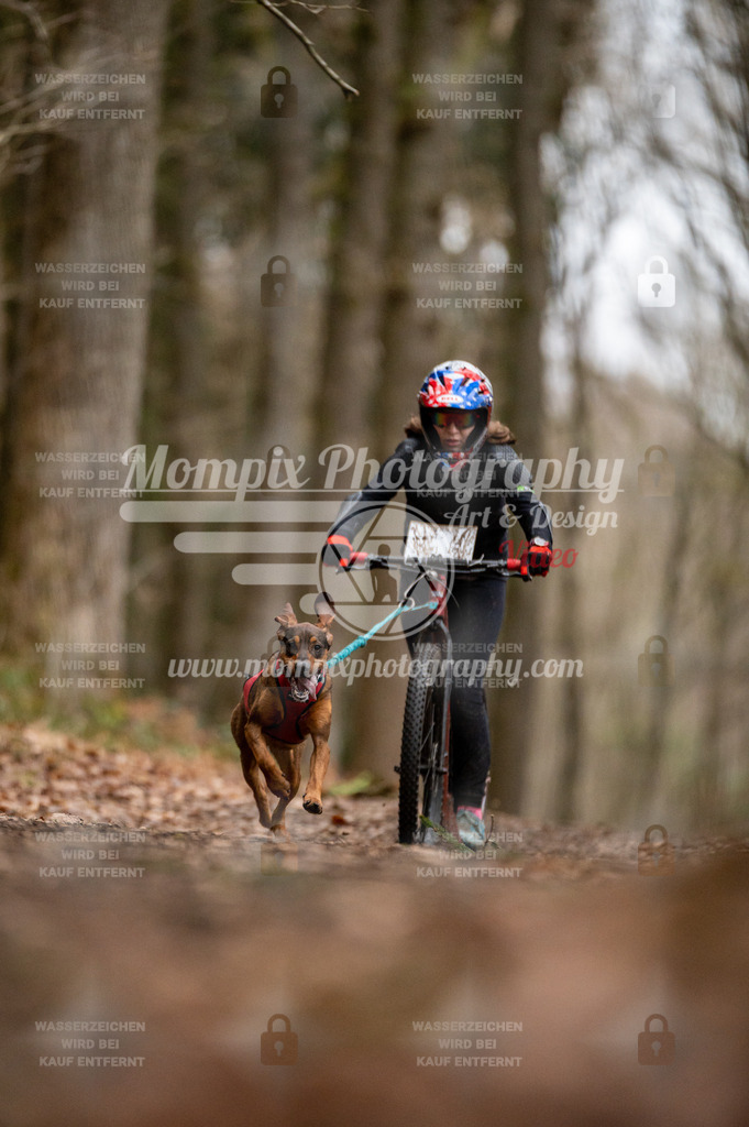 SPA_2023_DIM_Scooter-43 | PayLife