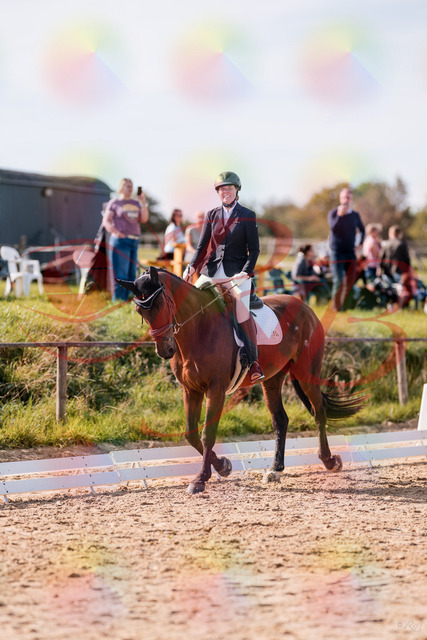 2026_10_03_Siefer-Hof_130159_Z81_54417582 | Professionelle Reitsport-, Turnier- und Eventfotografie von Robert Broda. Galerien mit ausgewählten und bearbeiteten Bildern direkt online ansehen und bestellen.