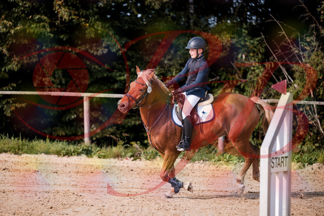 2026_10_03_Siefer-Hof_144723_Z81_24224499 | Professionelle Reitsport-, Turnier- und Eventfotografie von Robert Broda. Galerien mit ausgewählten und bearbeiteten Bildern direkt online ansehen und bestellen.