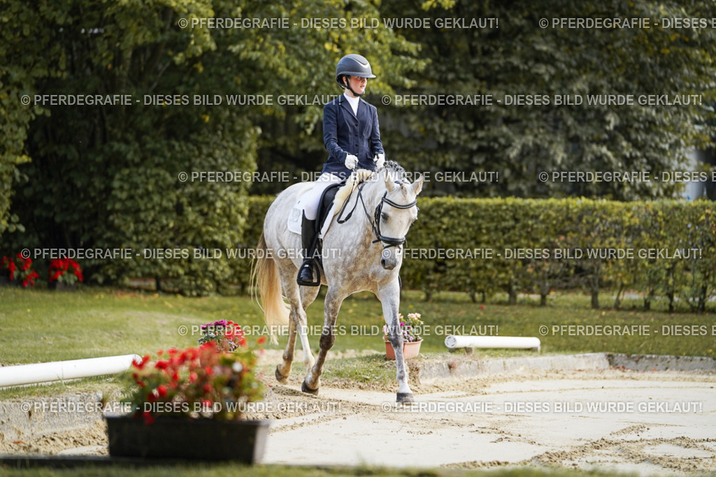 DSC05294 | Pferdegrafie