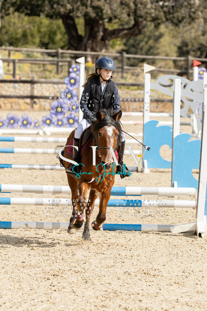 IMG_4394 | s-jay-photography - Realisiert mit Pictrs.com